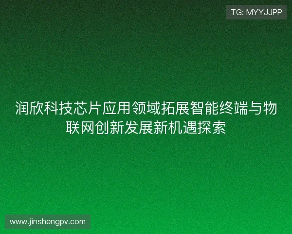 润欣科技芯片应用领域拓展智能终端与物联网创新发展新机遇探索